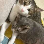 ヒメ日記 2025/10/04 19:45 投稿 はるか カワサキEROTIC（ソープランド）