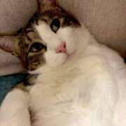 ヒメ日記 2025/10/10 16:01 投稿 はるか カワサキEROTIC（ソープランド）