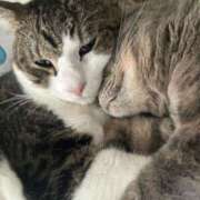 ヒメ日記 2025/10/10 22:28 投稿 はるか カワサキEROTIC（ソープランド）