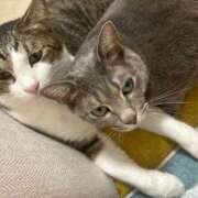 ヒメ日記 2025/10/11 19:19 投稿 はるか カワサキEROTIC（ソープランド）