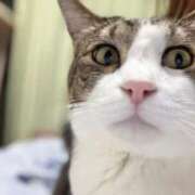 ヒメ日記 2025/11/08 23:55 投稿 はるか カワサキEROTIC（ソープランド）