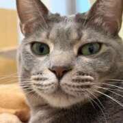 ヒメ日記 2025/11/13 21:52 投稿 はるか カワサキEROTIC（ソープランド）