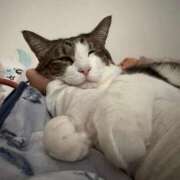 ヒメ日記 2025/12/01 19:37 投稿 はるか カワサキEROTIC（ソープランド）