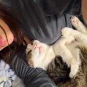 ヒメ日記 2025/12/06 22:45 投稿 はるか カワサキEROTIC（ソープランド）