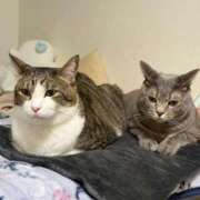 ヒメ日記 2025/12/12 23:30 投稿 はるか カワサキEROTIC（ソープランド）