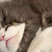 ヒメ日記 2025/12/15 22:09 投稿 はるか カワサキEROTIC（ソープランド）