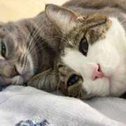 ヒメ日記 2025/12/16 12:27 投稿 はるか カワサキEROTIC（ソープランド）