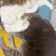 ヒメ日記 2025/12/20 21:00 投稿 はるか カワサキEROTIC（ソープランド）