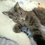 ヒメ日記 2025/12/26 19:31 投稿 はるか カワサキEROTIC（ソープランド）