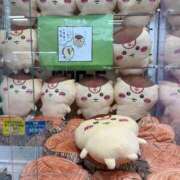 ヒメ日記 2026/01/10 20:08 投稿 はるか カワサキEROTIC（ソープランド）