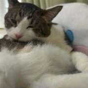 ヒメ日記 2026/01/11 20:02 投稿 はるか カワサキEROTIC（ソープランド）