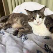 ヒメ日記 2026/01/24 19:30 投稿 はるか カワサキEROTIC（ソープランド）