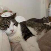 ヒメ日記 2026/01/26 15:29 投稿 はるか カワサキEROTIC（ソープランド）