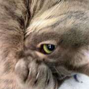 ヒメ日記 2026/02/12 07:30 投稿 はるか カワサキEROTIC（ソープランド）