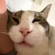 ヒメ日記 2026/02/13 16:42 投稿 はるか カワサキEROTIC（ソープランド）