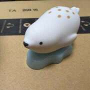 ヒメ日記 2026/02/23 20:43 投稿 はるか カワサキEROTIC（ソープランド）