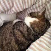 ヒメ日記 2026/02/24 20:03 投稿 はるか カワサキEROTIC（ソープランド）