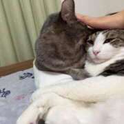 ヒメ日記 2026/02/24 21:36 投稿 はるか カワサキEROTIC（ソープランド）