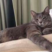 ヒメ日記 2026/03/02 19:37 投稿 はるか カワサキEROTIC（ソープランド）