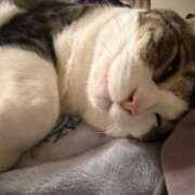 ヒメ日記 2026/03/13 19:09 投稿 はるか カワサキEROTIC（ソープランド）