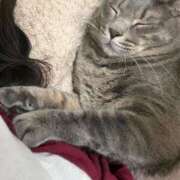 ヒメ日記 2026/03/14 15:30 投稿 はるか カワサキEROTIC（ソープランド）