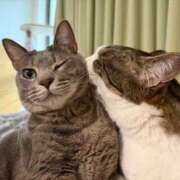 ヒメ日記 2026/03/20 17:02 投稿 はるか カワサキEROTIC（ソープランド）