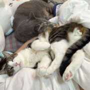 ヒメ日記 2026/04/18 20:16 投稿 はるか カワサキEROTIC（ソープランド）