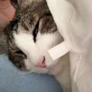 ヒメ日記 2026/07/31 21:31 投稿 はるか カワサキEROTIC（ソープランド）