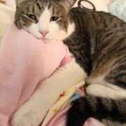 はるか ✨ カワサキEROTIC（ソープランド）