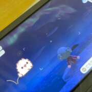 ヒメ日記 2024/12/13 19:37 投稿 ねむ an_an（アンアン）