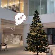 ヒメ日記 2024/12/24 18:39 投稿 ねむ an_an（アンアン）