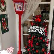 ヒメ日記 2024/12/25 16:11 投稿 ねむ an_an（アンアン）