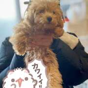 ヒメ日記 2025/01/22 18:44 投稿 ねむ an_an（アンアン）