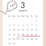 ヒメ日記 2025/03/19 19:33 投稿 ねむ an_an（アンアン）