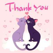 ヒメ日記 2025/02/08 02:38 投稿 れいか ニューヨークニューヨーク