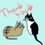 ヒメ日記 2025/02/27 04:03 投稿 れいか ニューヨークニューヨーク