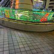 ヒメ日記 2024/12/19 16:32 投稿 ころん One More奥様　立川店