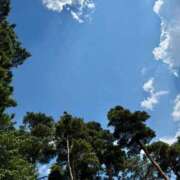 木ノ下　れん 出勤してるよ☀️🌵 OL精薬