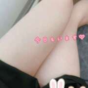 ヒメ日記 2025/04/24 12:29 投稿 ゆみ One More奥様　町田相模原店