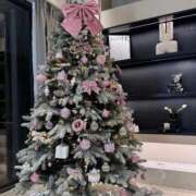 ヒメ日記 2025/12/17 21:14 投稿 ののか ROYAL FACE FUKUOKA