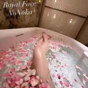 ヒメ日記 2026/01/20 14:04 投稿 ののか ROYAL FACE FUKUOKA