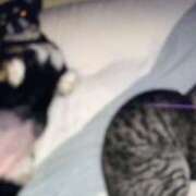 ヒメ日記 2025/10/24 17:56 投稿 流川 熟女の風俗最終章　鶯谷店