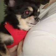 ヒメ日記 2025/10/26 09:15 投稿 流川 熟女の風俗最終章　鶯谷店