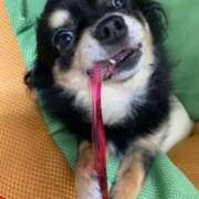 ヒメ日記 2025/10/26 18:50 投稿 流川 熟女の風俗最終章　鶯谷店