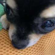 ヒメ日記 2025/10/30 12:25 投稿 流川 熟女の風俗最終章　鶯谷店