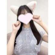 ヒメ日記 2025/07/28 10:23 投稿 りま 手コキガールズコレクション