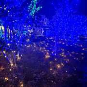 ヒメ日記 2024/12/23 15:14 投稿 ゆず 横浜シンデレラ（シンデレラグループ）