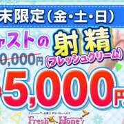 ヒメ日記 2024/11/08 21:06 投稿 なお フレッシュハニー