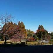 ヒメ日記 2025/11/23 14:10 投稿 早乙女（さおとめ） 熟女の風俗最終章 大宮店