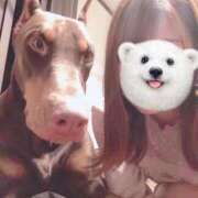 ヒメ日記 2025/03/27 14:43 投稿 日向りせ 甲府回春アロマージュ